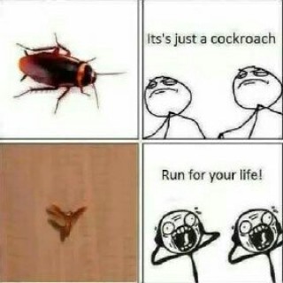 Worldgreatestmemer avatar