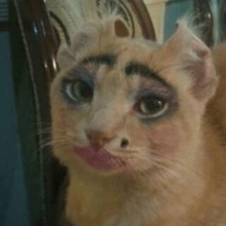 i_enjoy_memes avatar