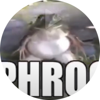 yourdadhascomeback avatar