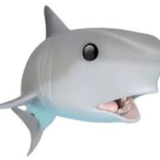 Shark_poggers avatar