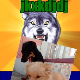 MemeKing4uuuu avatar