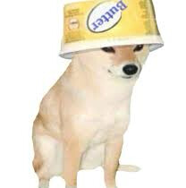 Im_Butter_Dog