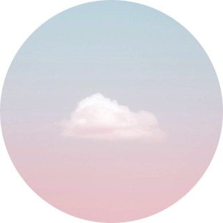 notyourtomato avatar