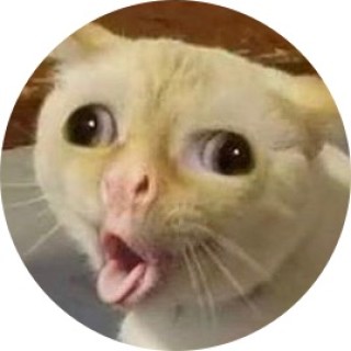 xxanonymousxx avatar