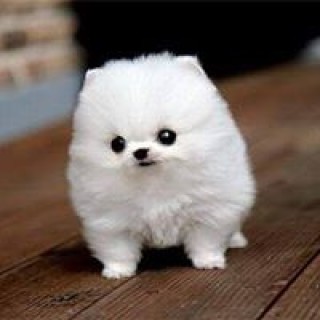 jacobscottkohn avatar