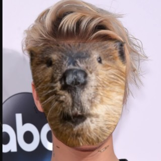 Justin_beaver avatar