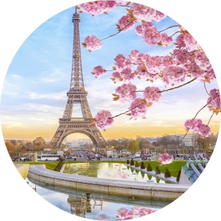 mememastermia11 avatar