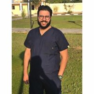 mina emad elias