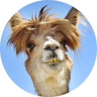 facts_and_curious avatar