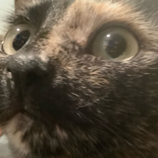 mrman_themysticalman avatar