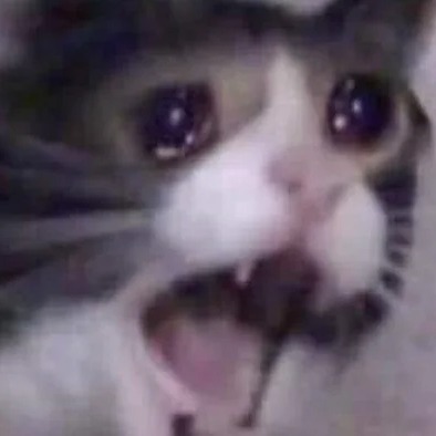 anonymouspersonlookingatmemes avatar