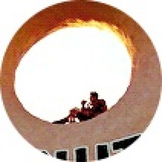 p4radox_memes avatar