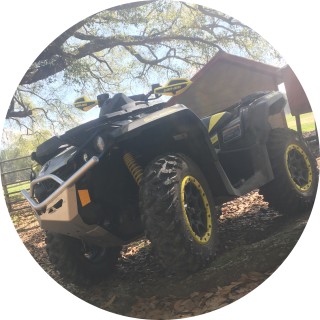 dirttrackking41 avatar