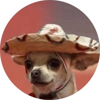mexicantwix avatar