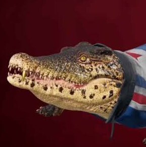 MonsoonMasoon avatar