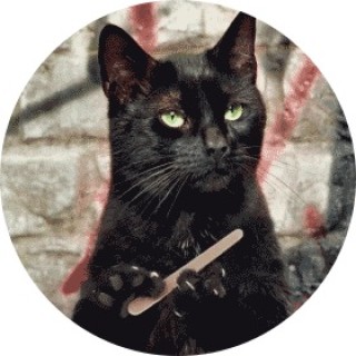 Realpotato1107 avatar