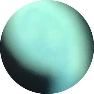 why_me_addison avatar