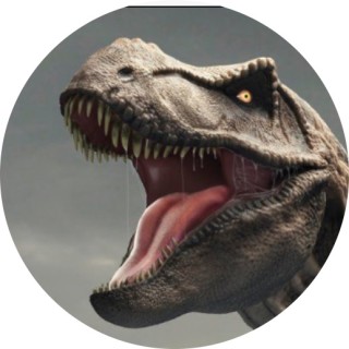 step_in_line_bitch avatar