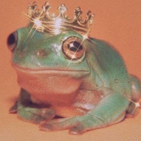 FROG_PUFF.MEMEZ avatar