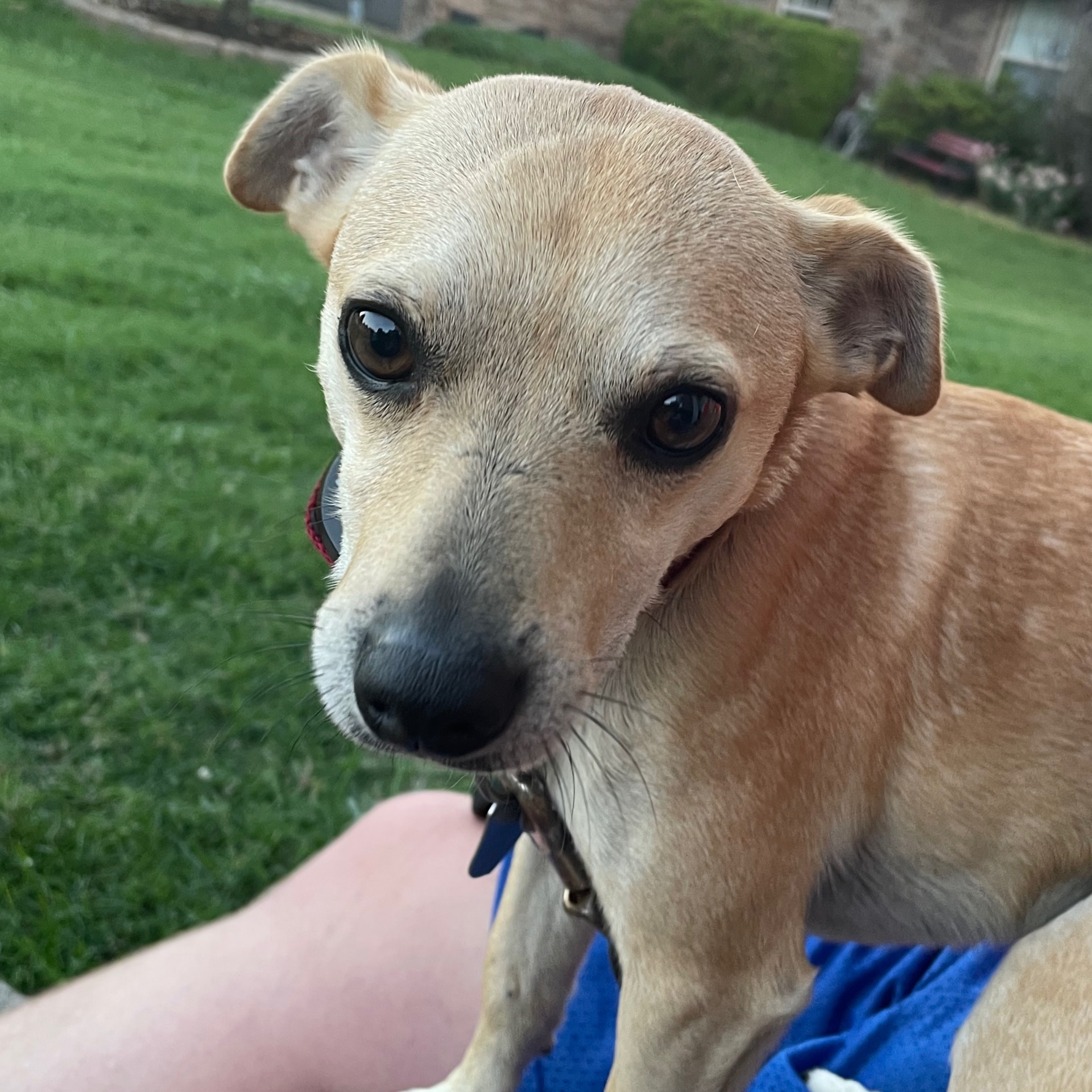 Bobby_fish_man avatar