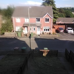 IanTheMemeMaker avatar