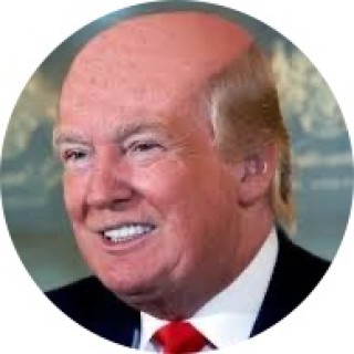 TrumpsMemes avatar