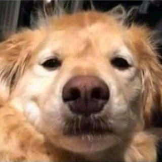 illusion100000 avatar