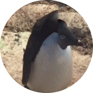 theduckymanyt avatar