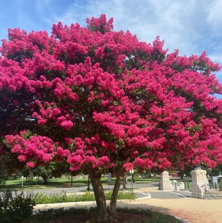 ollieywilson1107 avatar