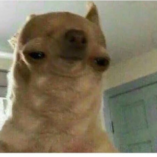 DoggishCouchPotato avatar