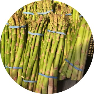 FatRat_REEEE200 avatar