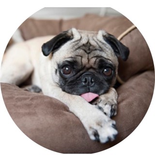 wierdmemedude01 avatar