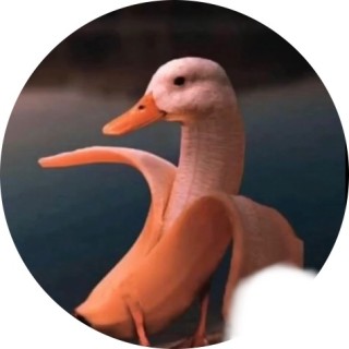 banana_duck avatar
