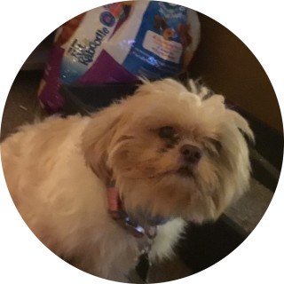 that_one_meme_girl avatar