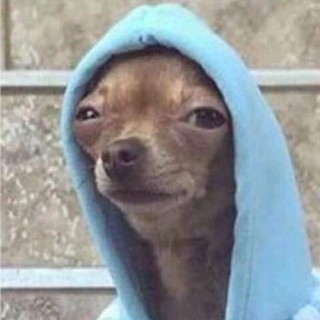 KingBumiOfOmashu2 avatar