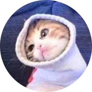 Cat_ina_sock avatar