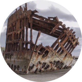 lilly_got_memes avatar