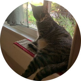 whydoiecist28462 avatar