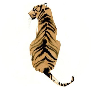 maiceeandersonn17 avatar