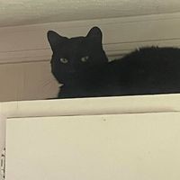 oldpersonbelike avatar