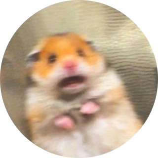 minecraft_meme_and_only_memes avatar