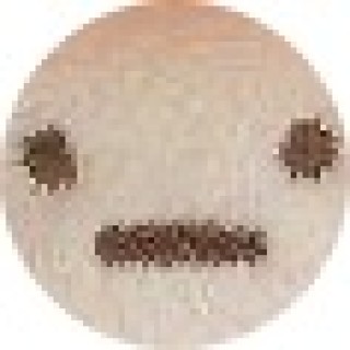 googlespamer671 avatar