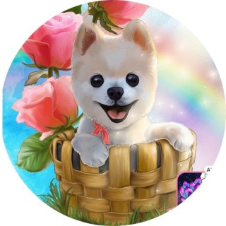 overtherainbow avatar