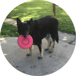 miniture_pizza avatar