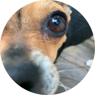 wholesome_memes1 avatar