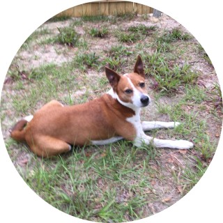 merrythememes avatar