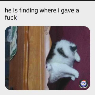 wowitsa_doggo avatar