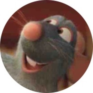 Ratatouille_cookin avatar