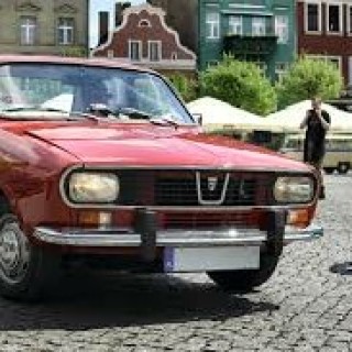 radubob_oficial avatar