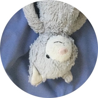 animerocksmeow avatar